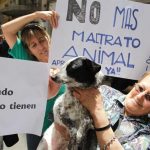¿Sanción para quienes maltraten animales? La comisión de Diputados que busca que sea ley